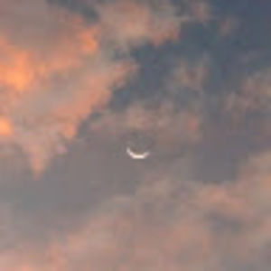 Meet your Posher, Mei-lin